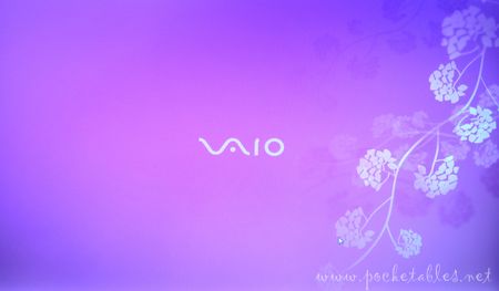 Vaio_tz_startup4