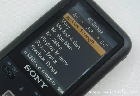 Sony_s610_mus3