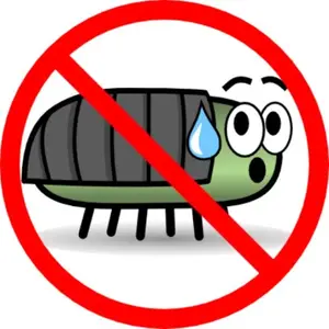 no-bug