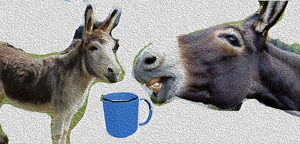 What a hacked Chromecast might look like with Donkeys having a cup of tea