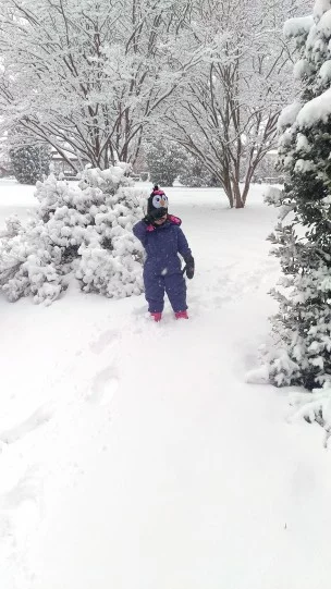 Maggie in the 2016 snow
