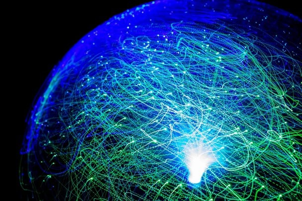 Fiber Optic Globe