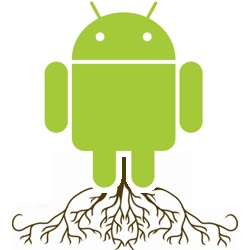 android root small - for some reason we don't have an alt tag here