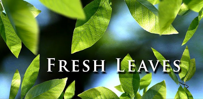fresh leaves - for some reason we don't have an alt tag here