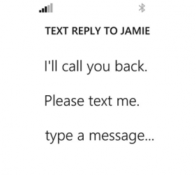 Text Reply Options1 - for some reason we don't have an alt tag here