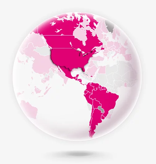 T Mobile Globe - for some reason we don't have an alt tag here