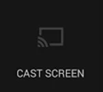 Cast Screen icon - for some reason we don't have an alt tag here