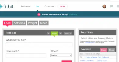 Adobe Flash still on Fitbit's site