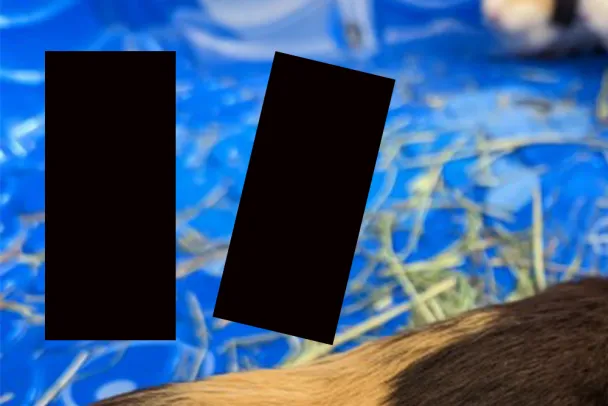 Leaked renders of upcoming flagship phone indicate it's black, rectangular.