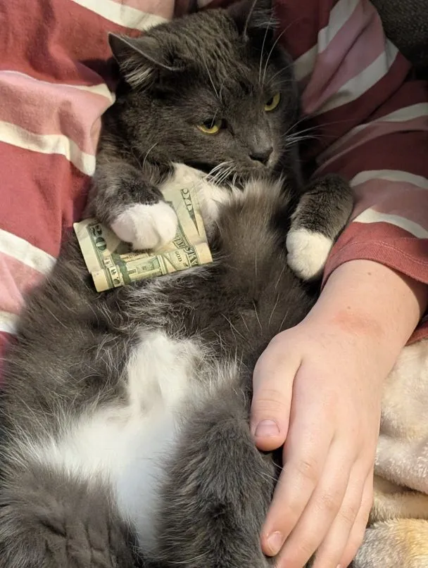 Dolly, dollars